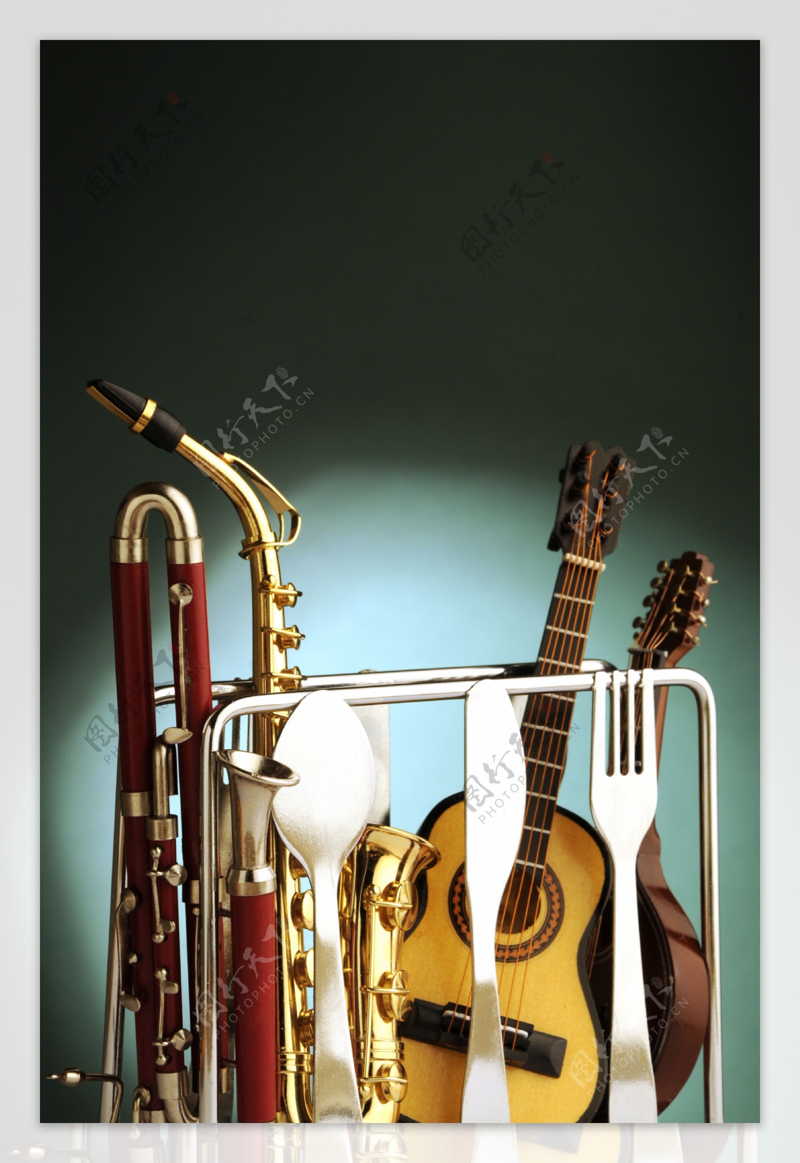 管乐器与弦乐器图片