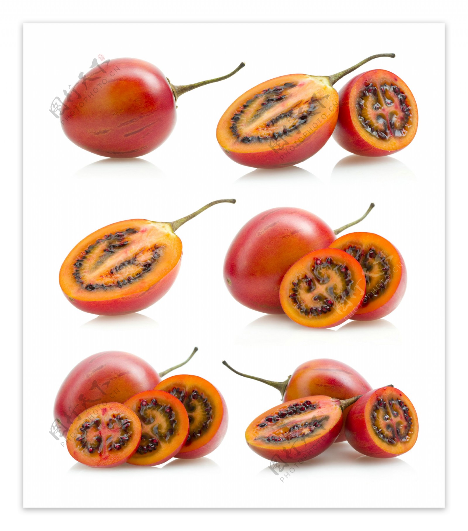 树蕃茄图片
