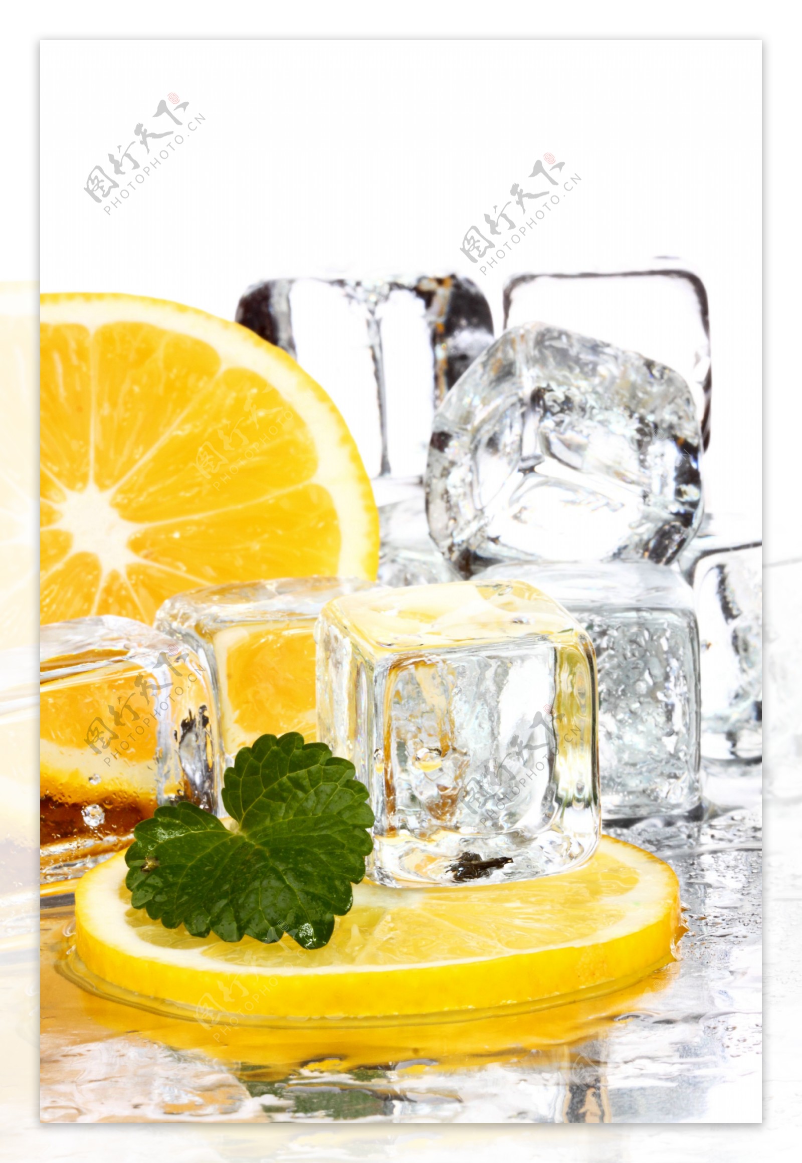 柠檬与冰块素材图片