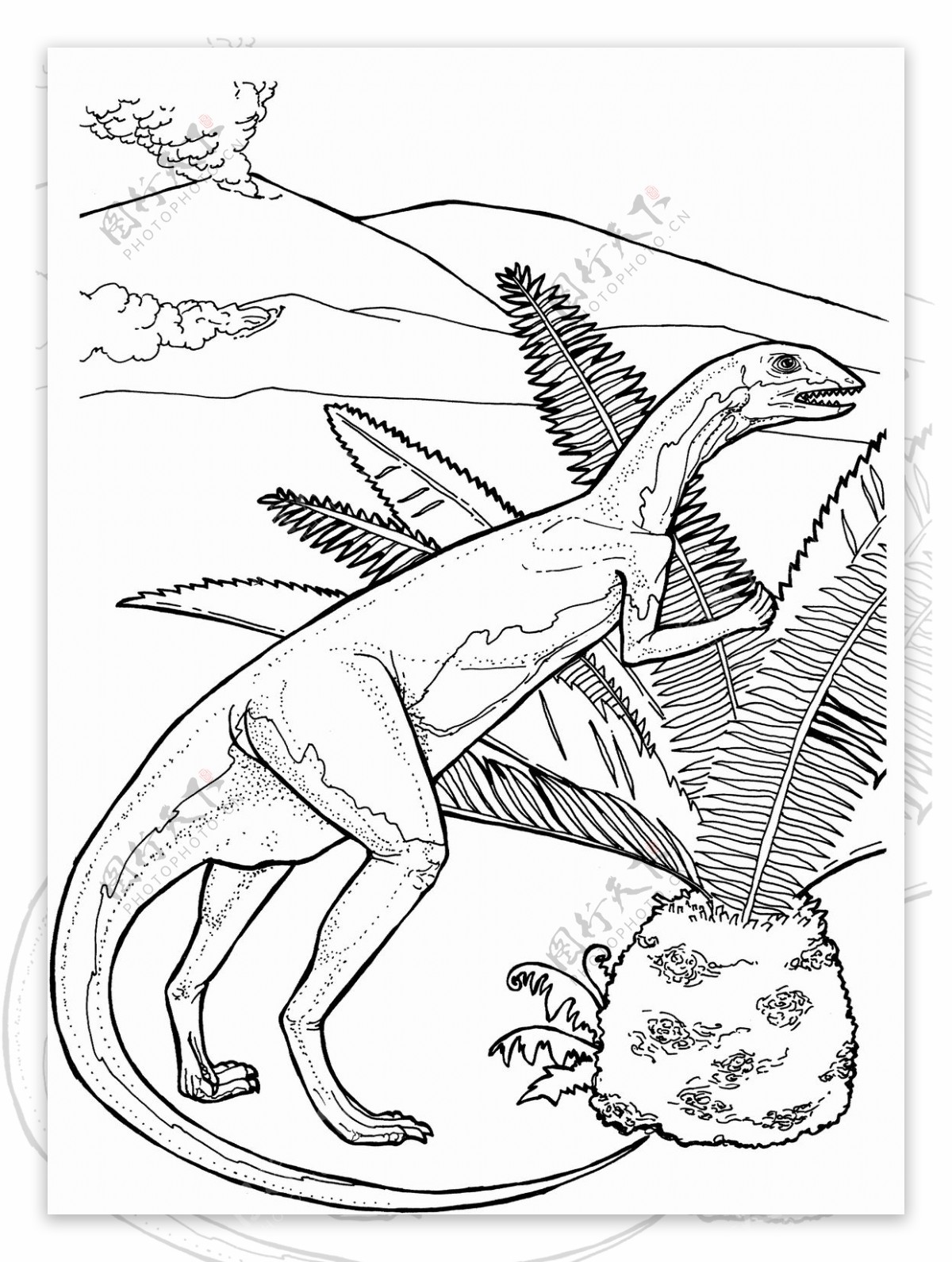 恐龙素描图片素材-编号26392119-图行天下