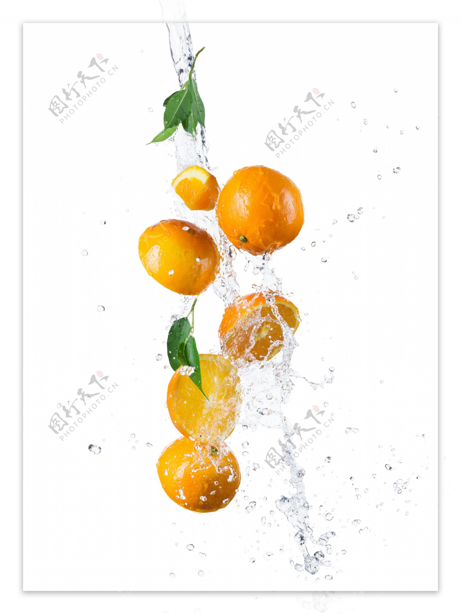 水花和橘子图片