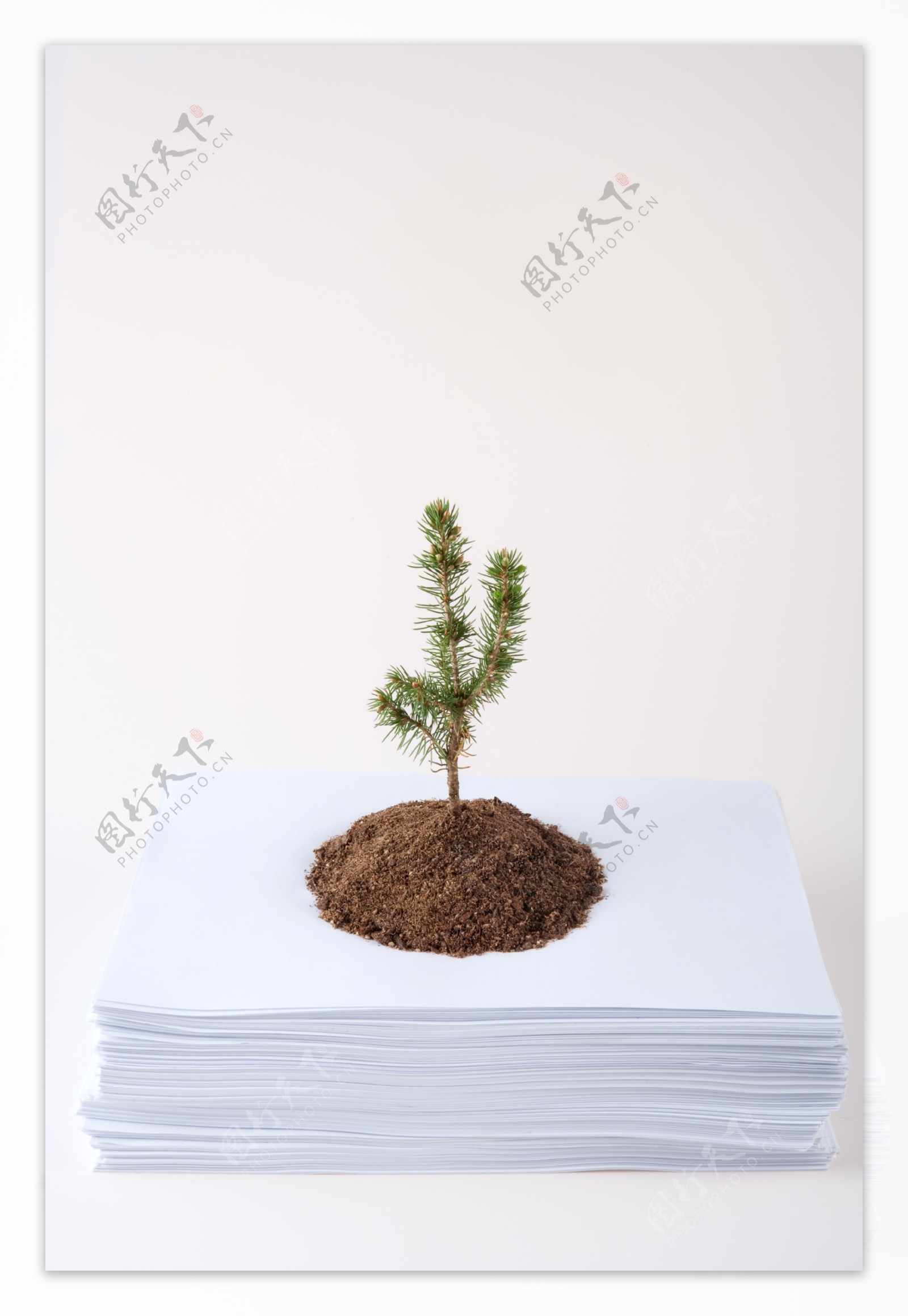 纸张上的泥土植物图片