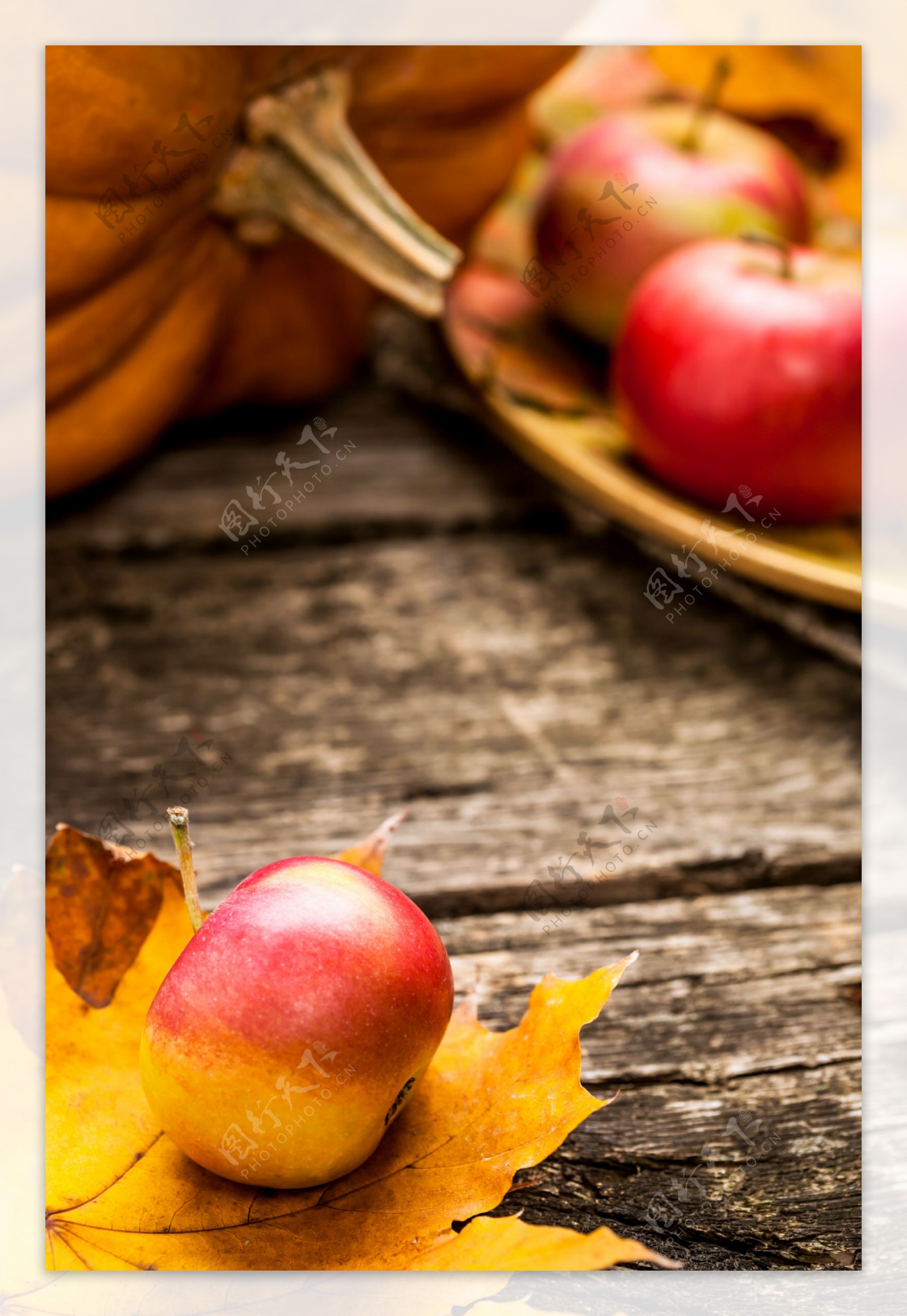 黄色叶子与苹果图片