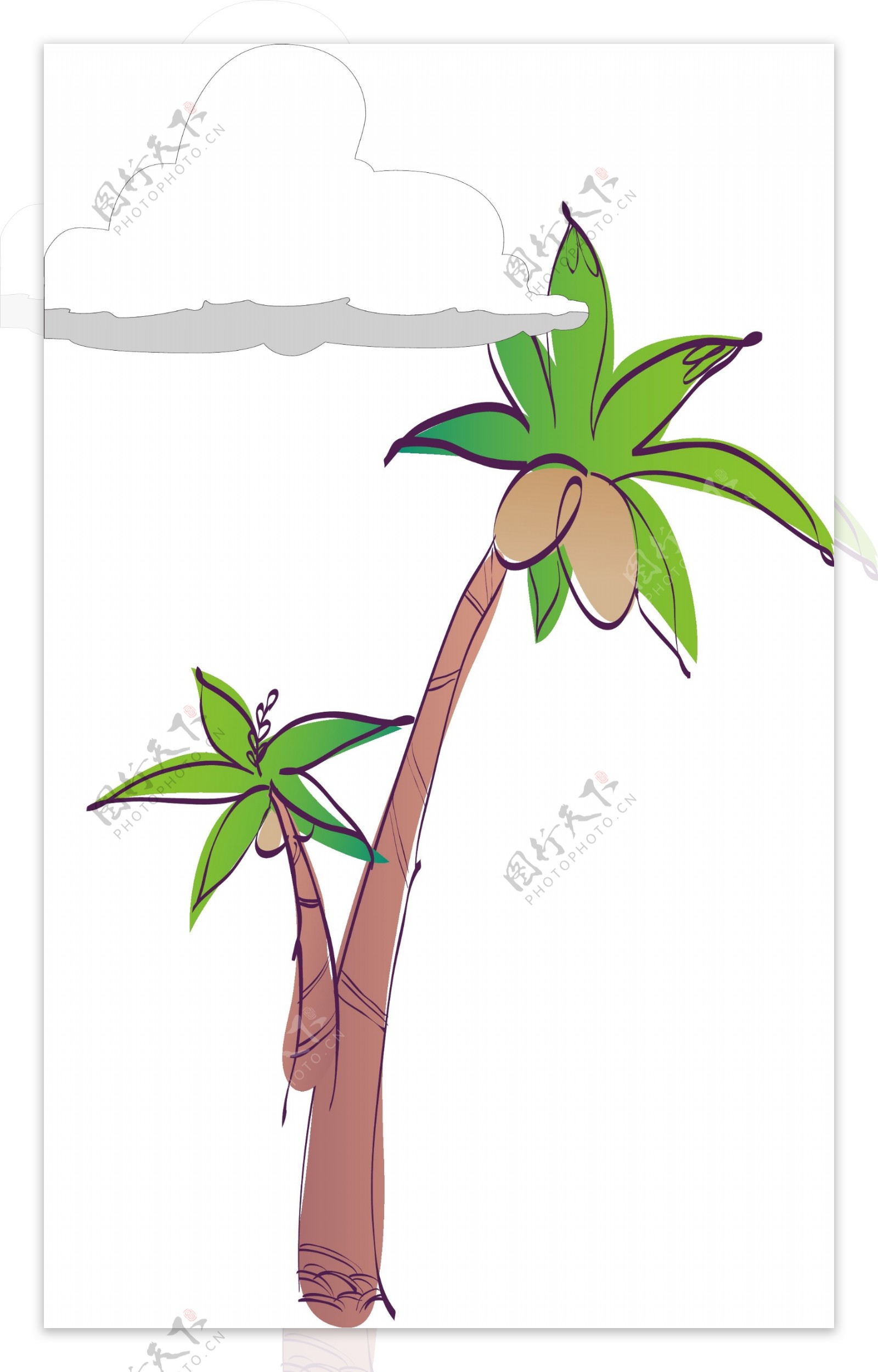 手绘椰树绿色元素