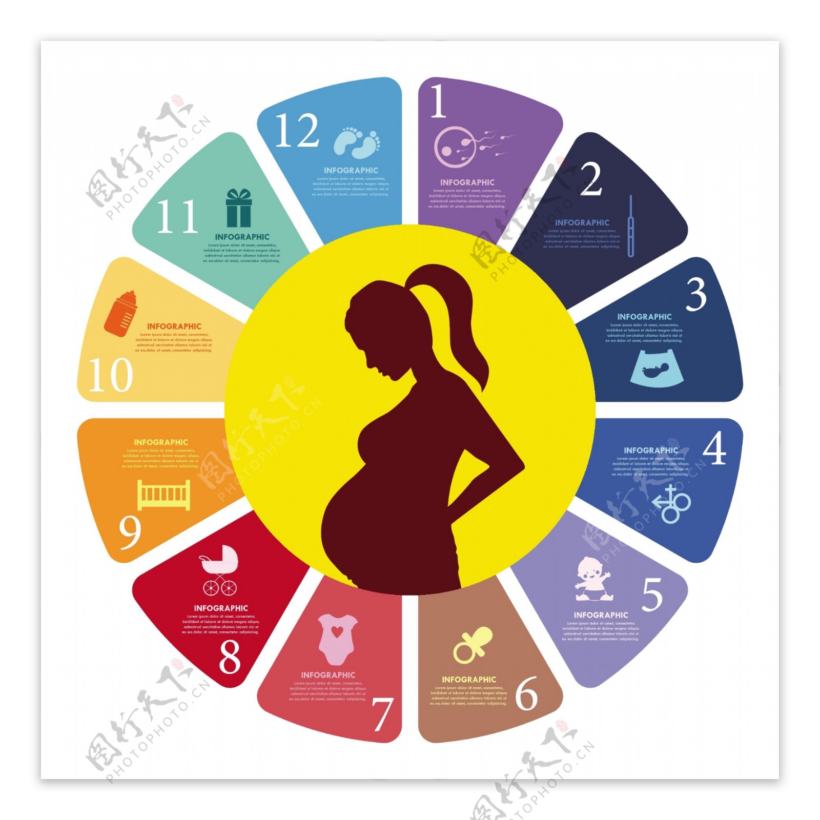怀孕概念设计与彩色图表风格自由向量