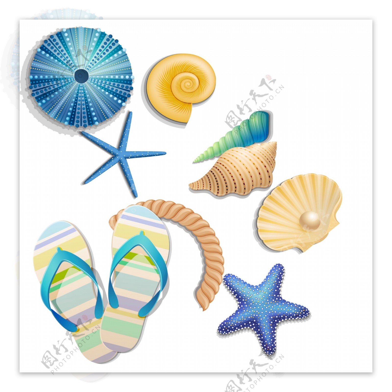 夏季沙滩海星海螺分层元素