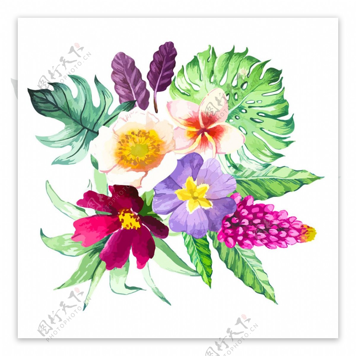 水彩热带植物花朵图案图片