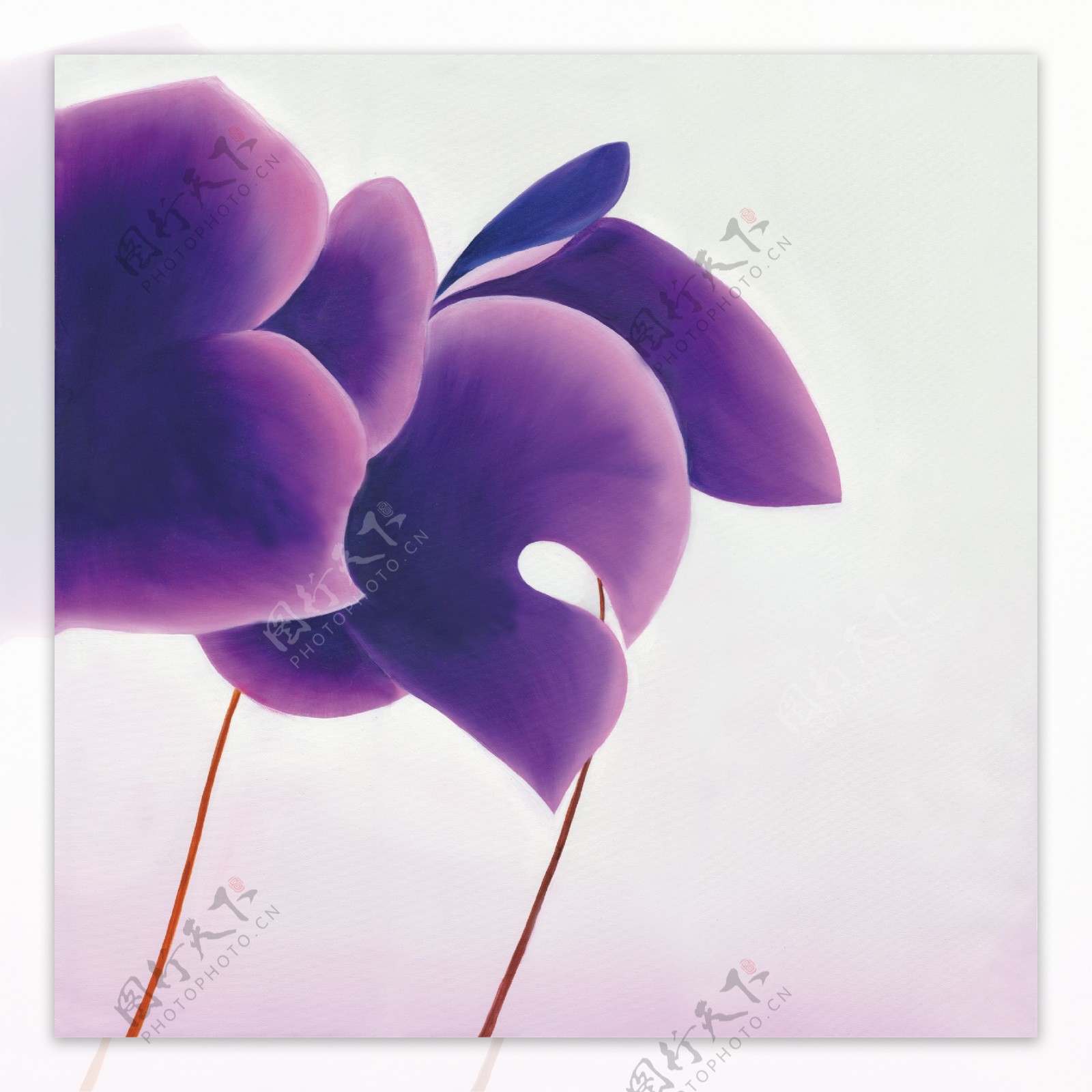 紫色花瓣油画图片