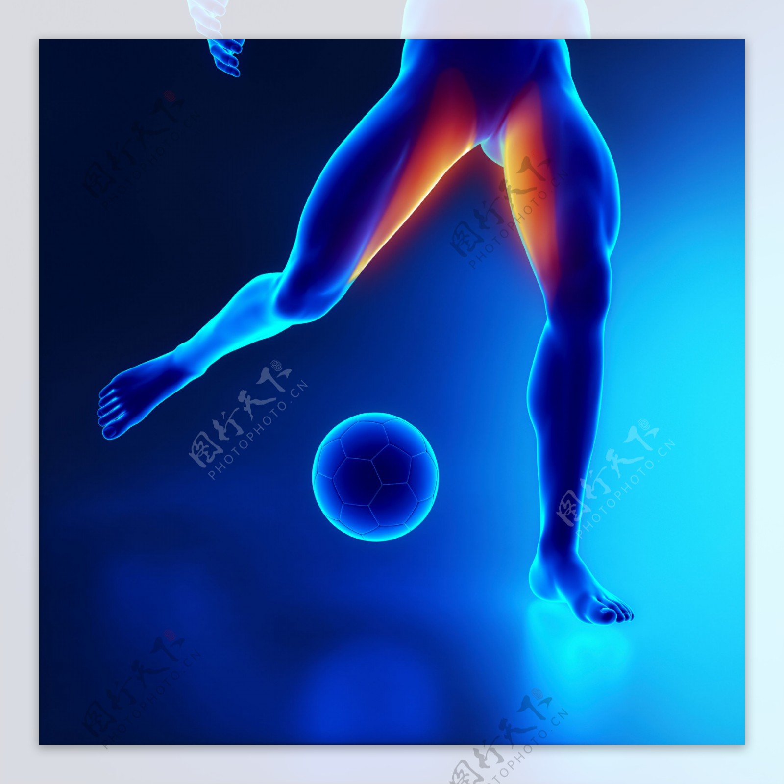 踢足球的男性腿部肌肉图片