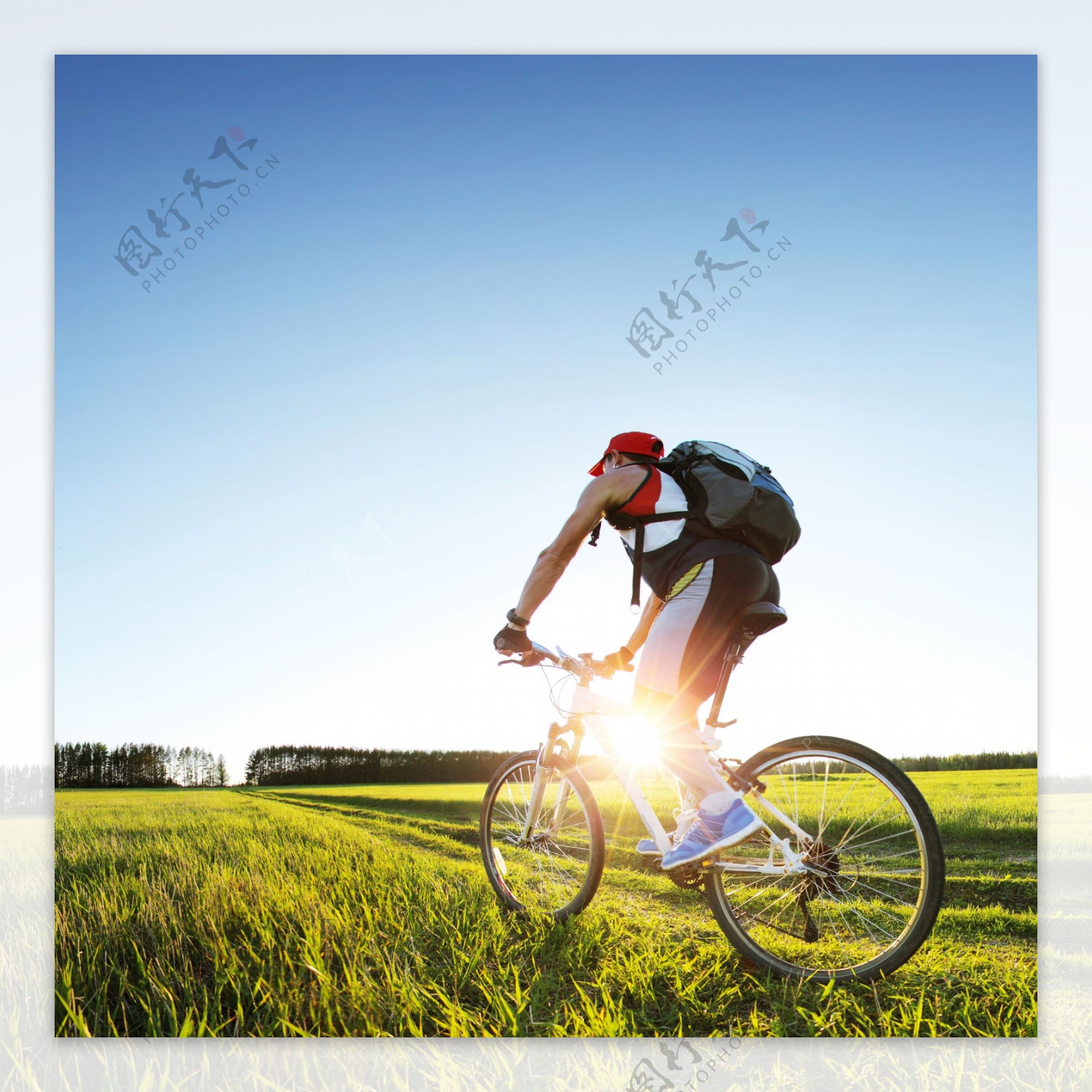 草地上骑单车的男人图片