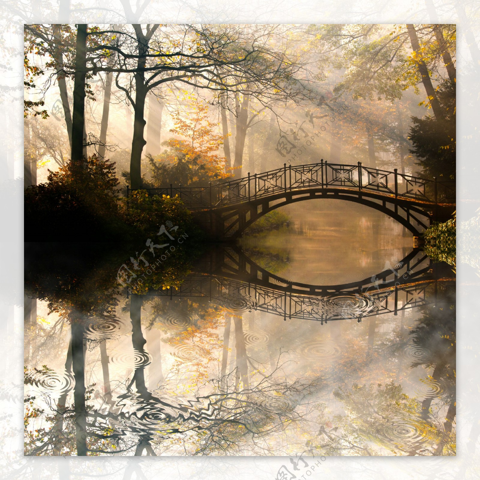 树林拱桥风景