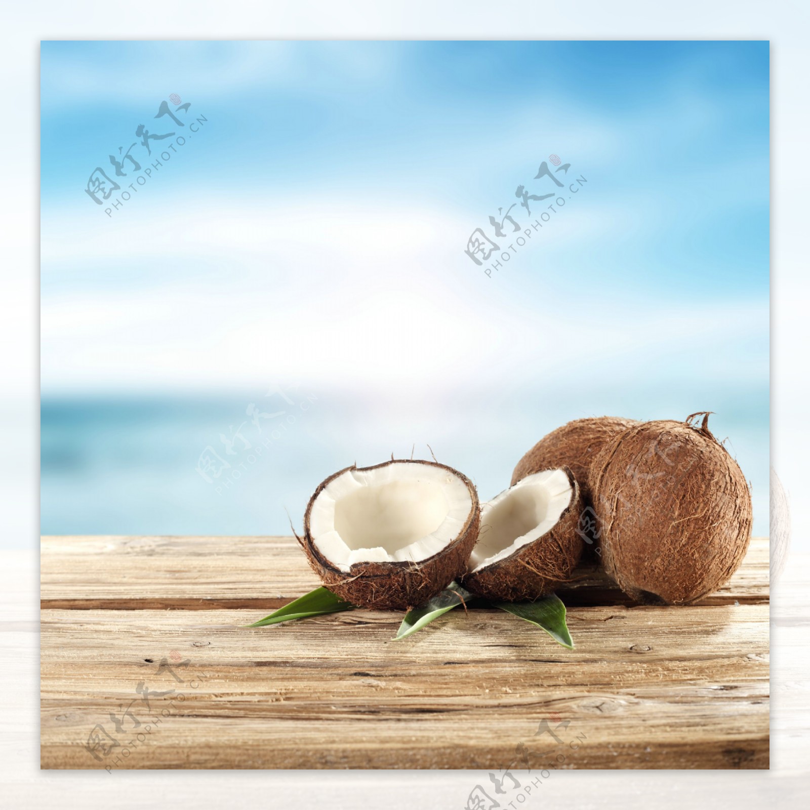 木板上的椰子图片