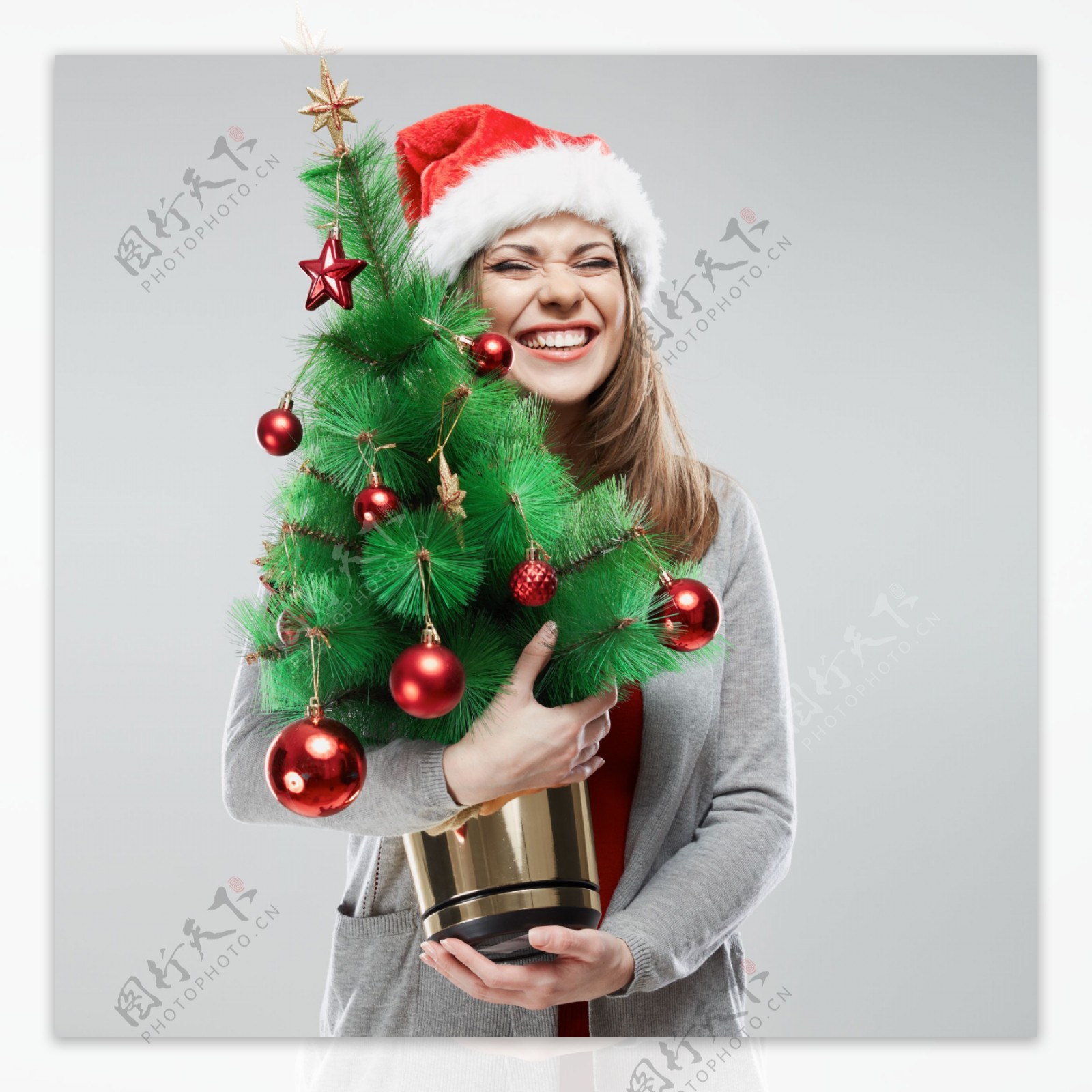 抱着圣诞树的美女图片
