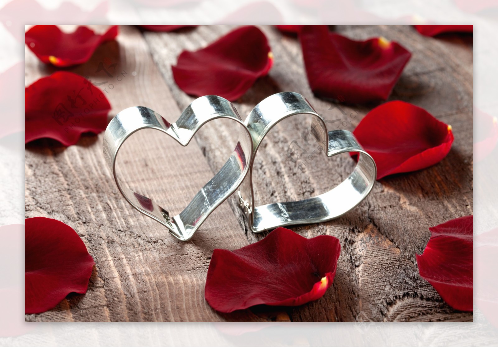 心形戒指和玫瑰花瓣图片