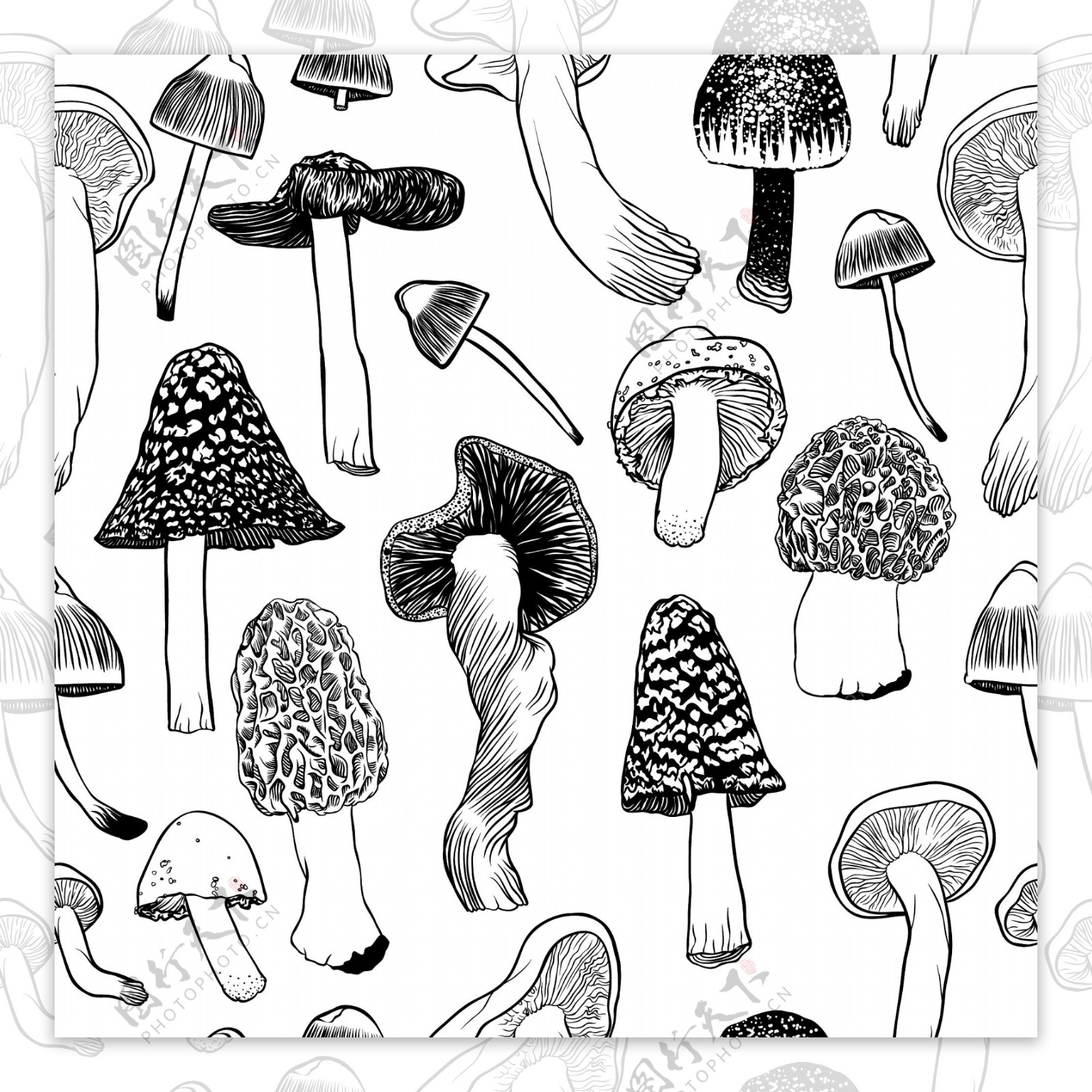 黑白手绘蘑菇设计