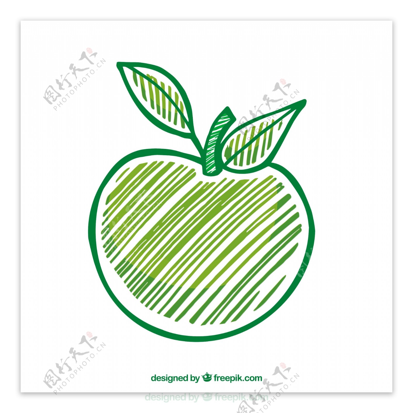 手绘绿苹果
