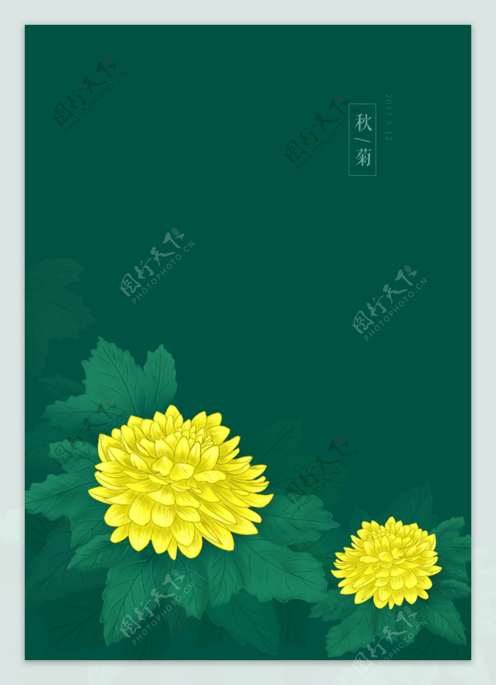 手绘菊花花卉素材背景海报