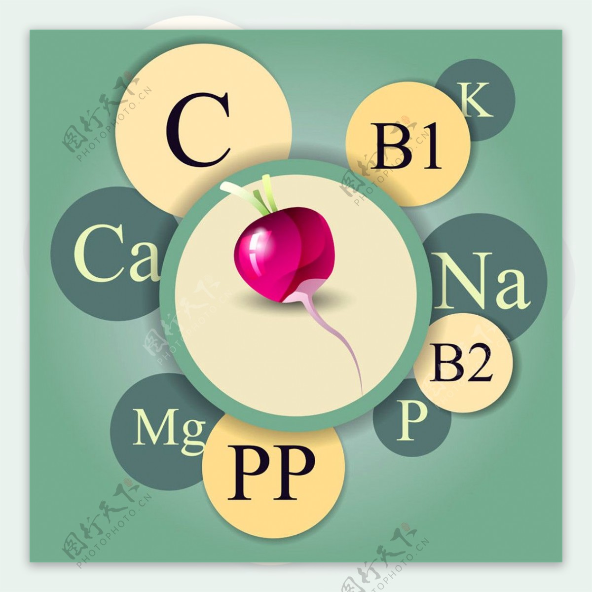 红萝卜和立体圆环字母图片