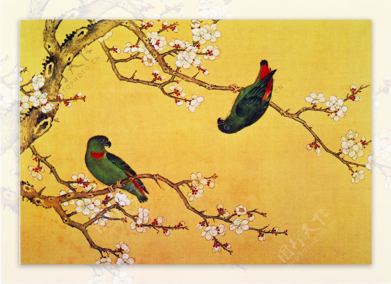 花鸟画中国古画传统国画06