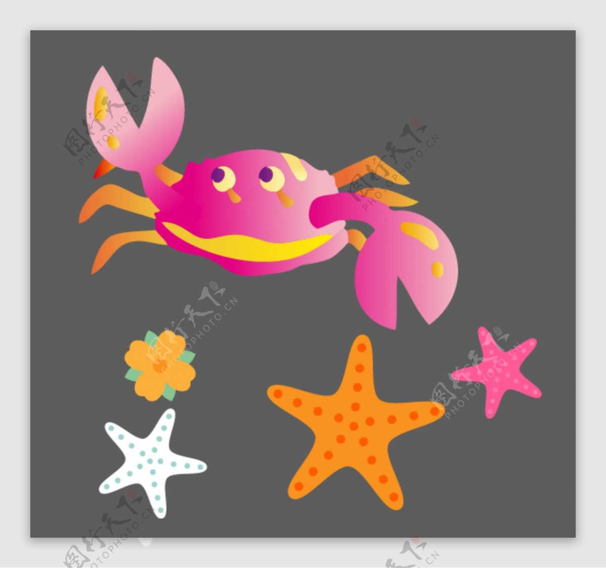 卡通螃蟹海五星