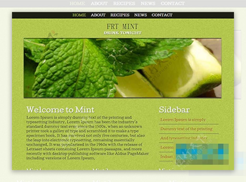 绿色蔬菜植物网站模板下载