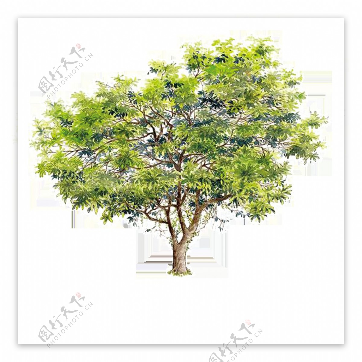 唯美高清手绘油画树木装饰图案