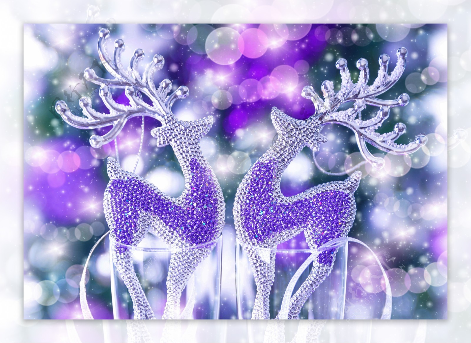 梦幻光斑与紫色小鹿图片