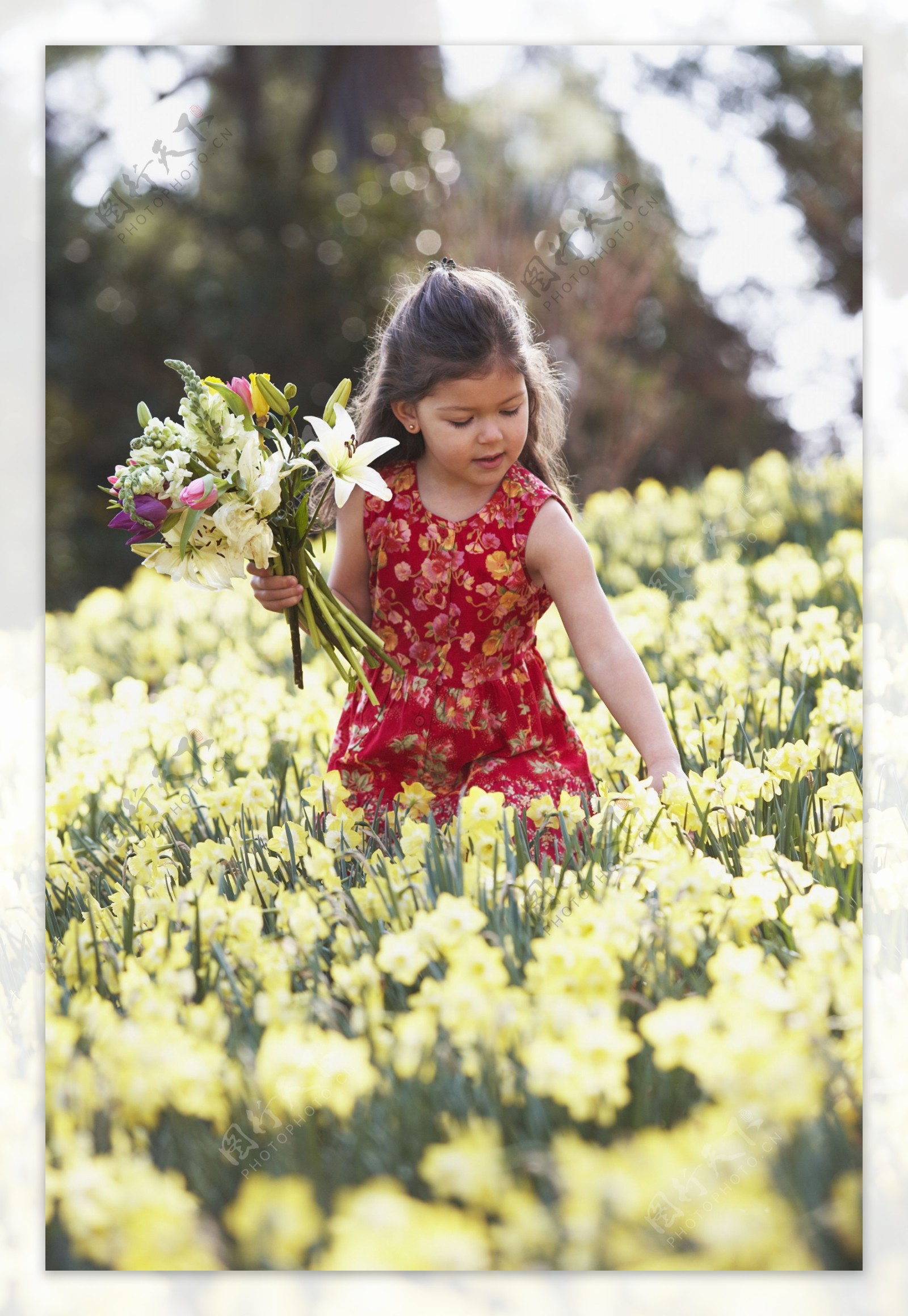 鲜花与小女孩图片