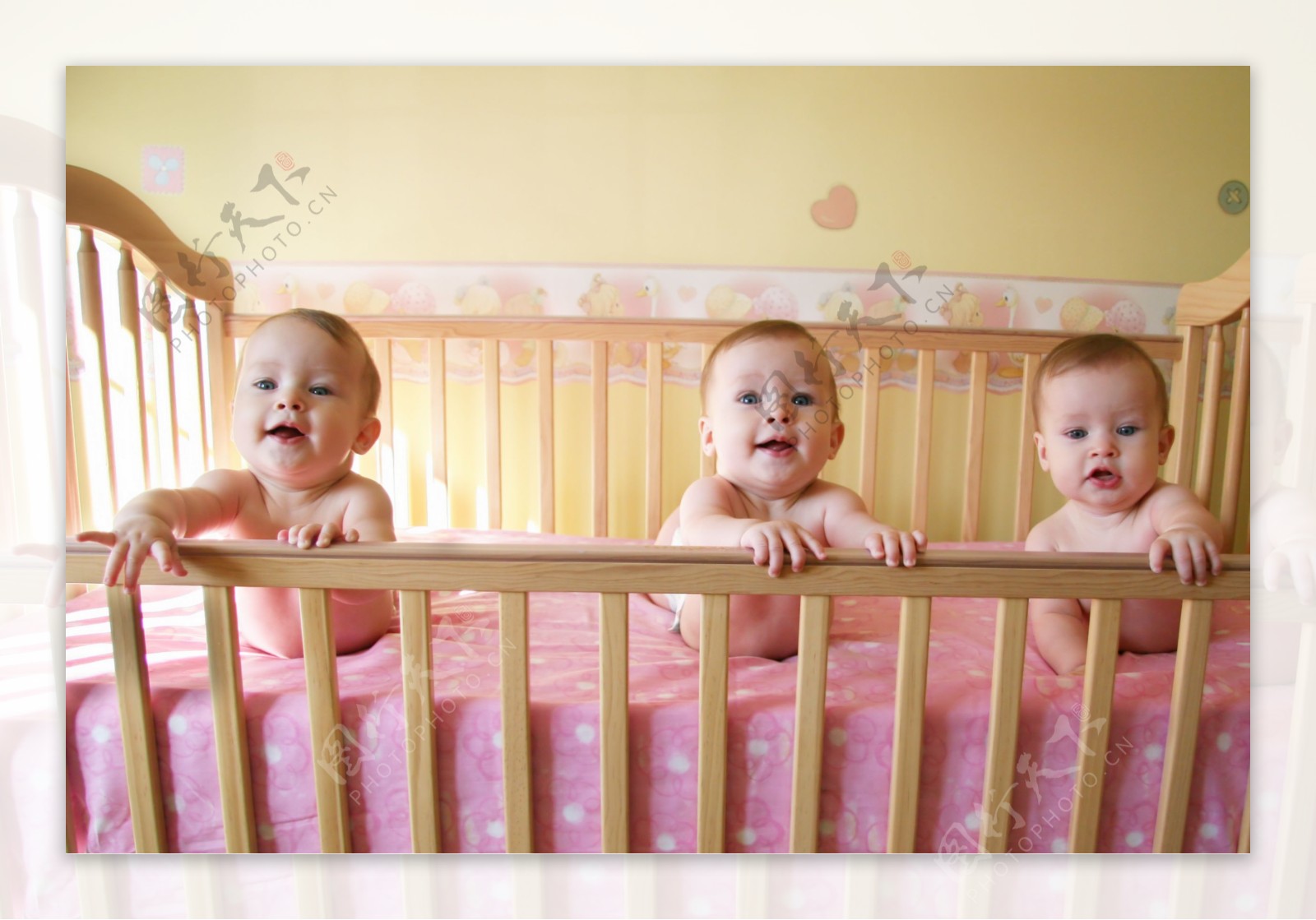 婴儿床上的三个宝宝图片