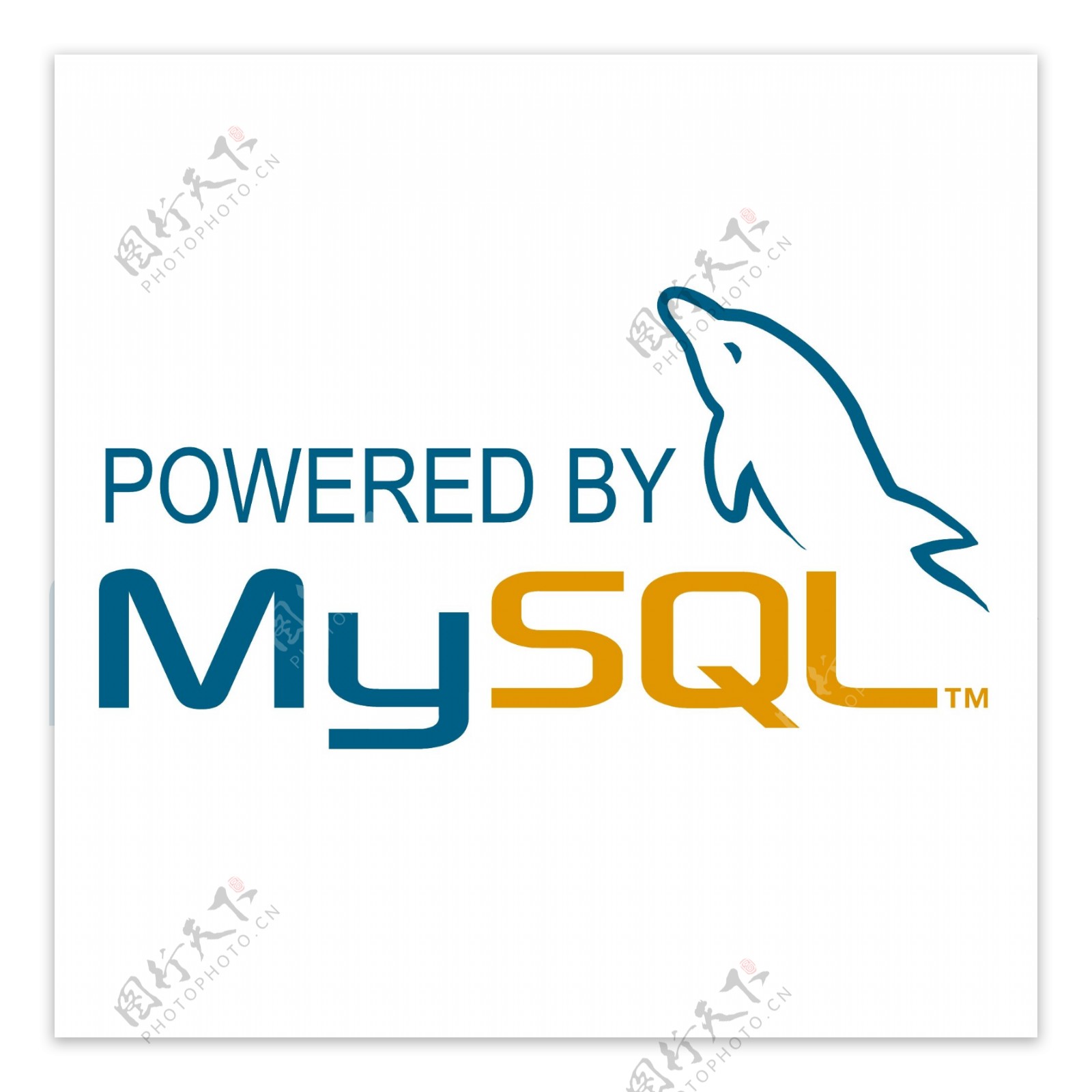 MySQL2