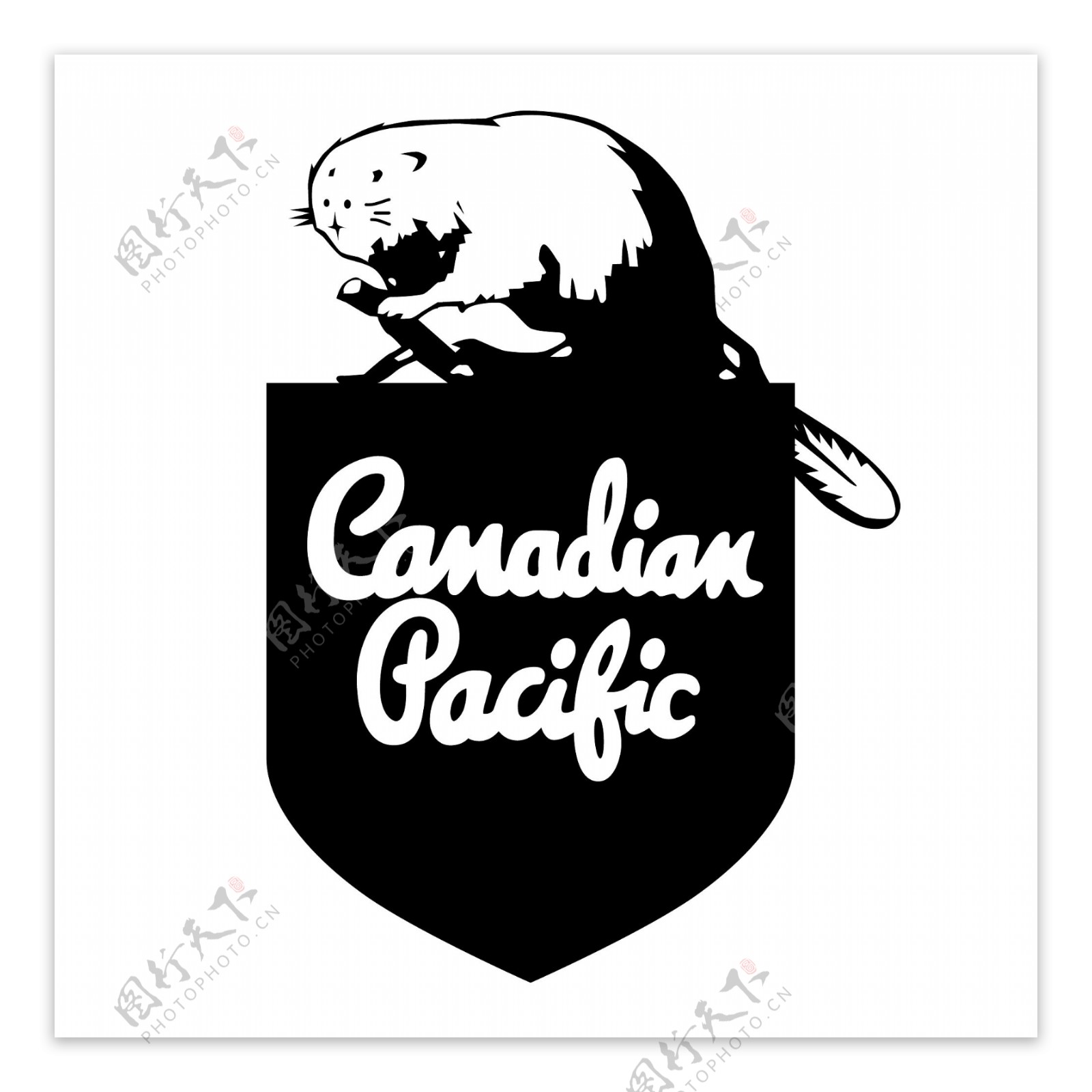 加拿大太平洋铁路2
