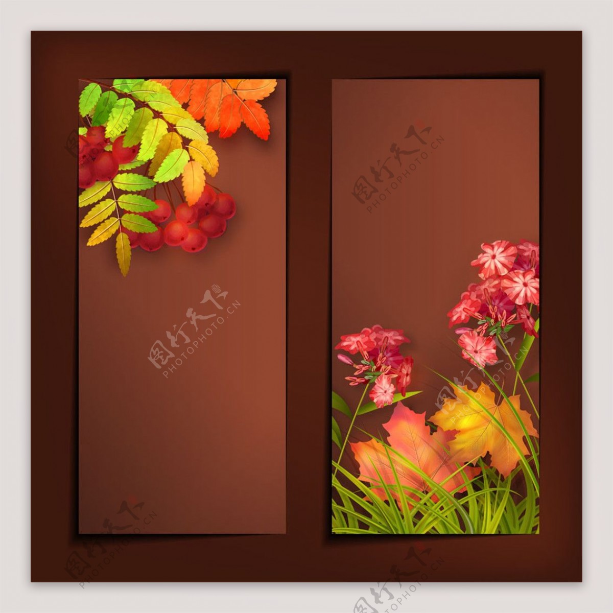 秋天花朵草木背景设计图片
