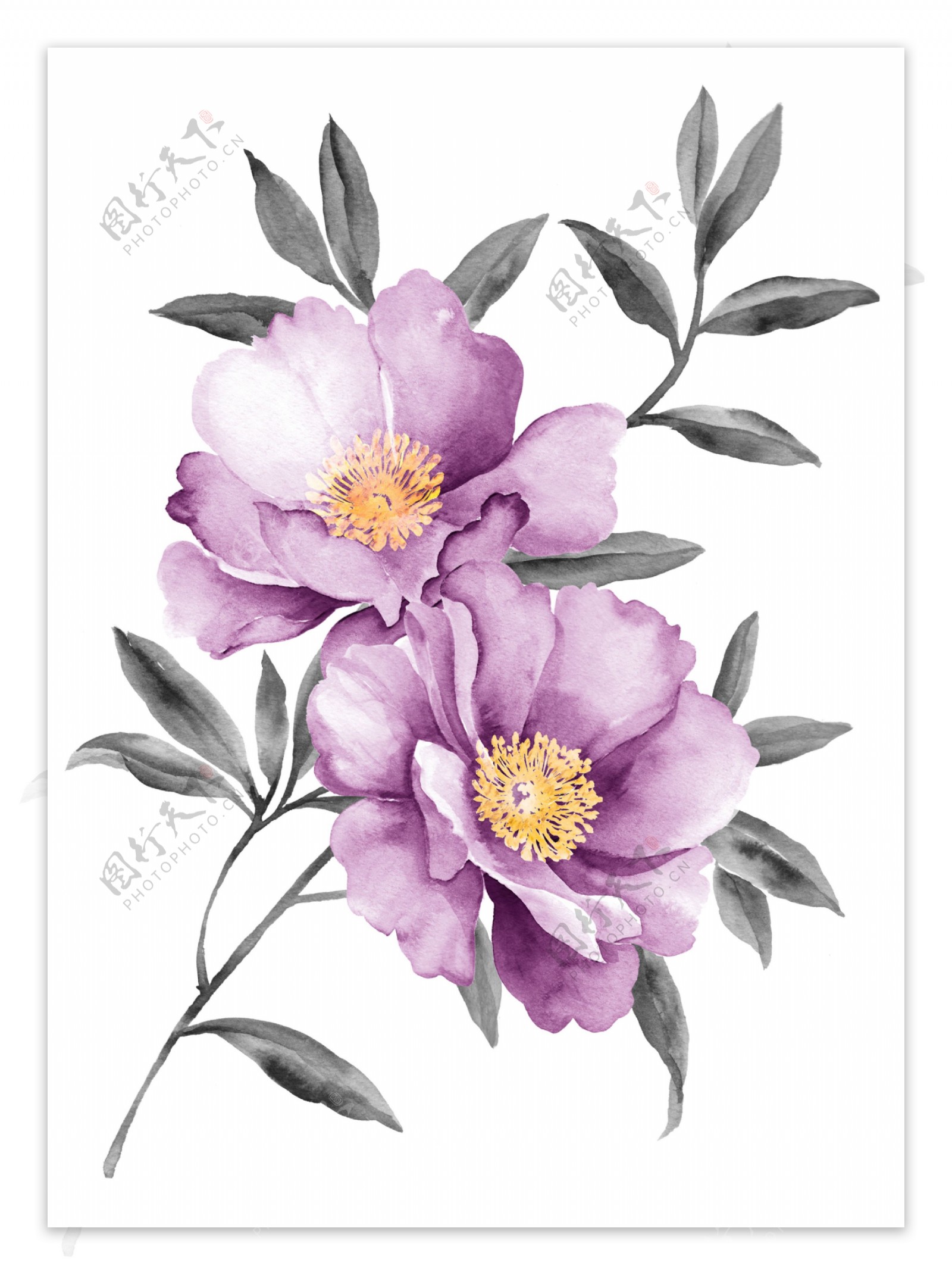 水墨紫色花朵图片
