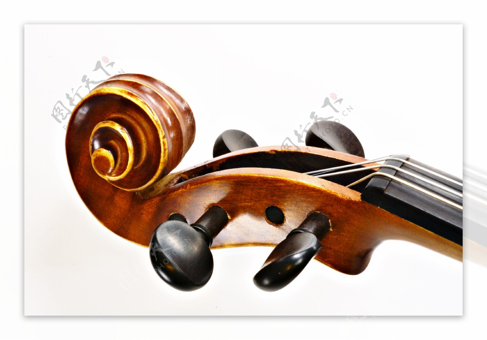 小提琴琴头图片