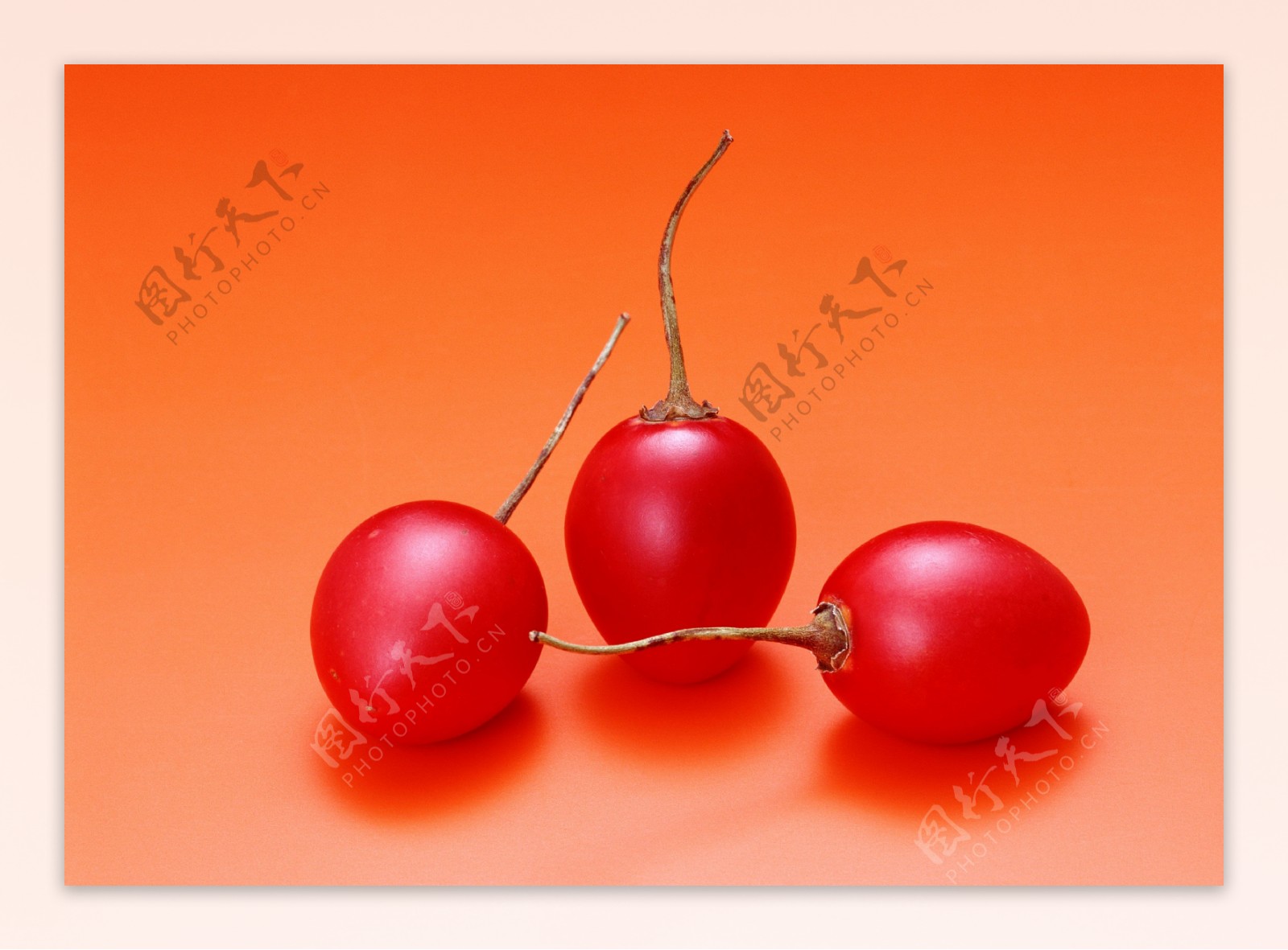 水果西红柿圣女果