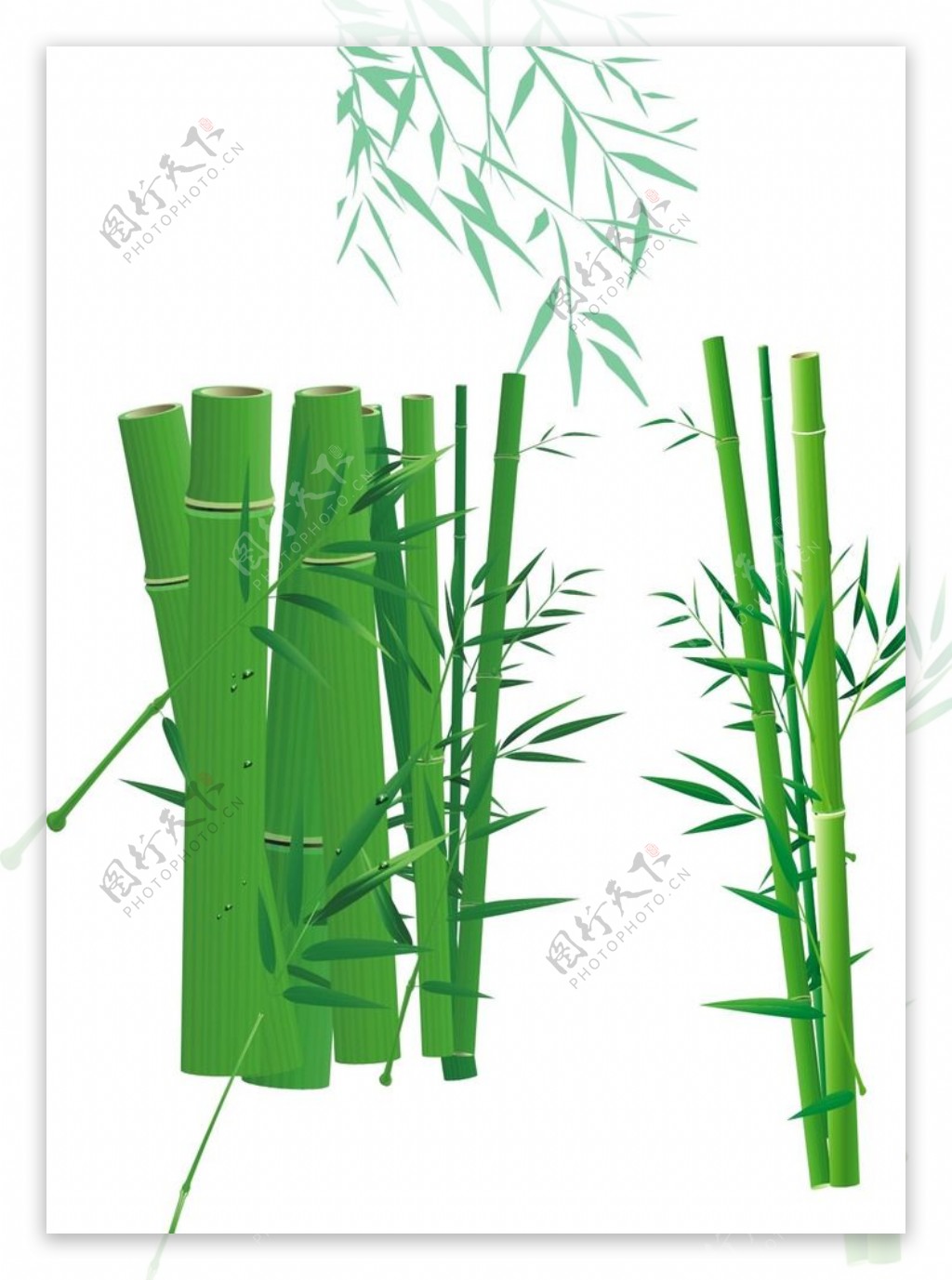 矢量绿色竹子竹叶