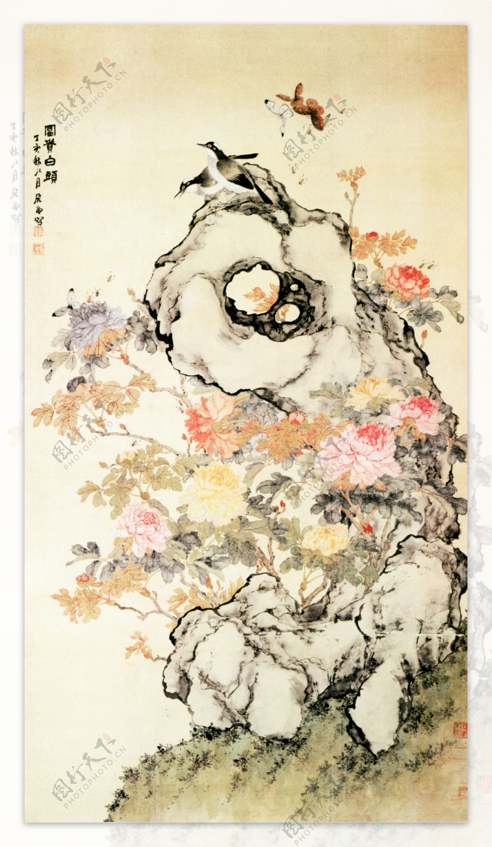 富贵白头图花鸟画中国古画0588