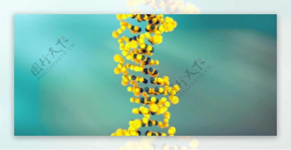 螺旋生物DNA分子链