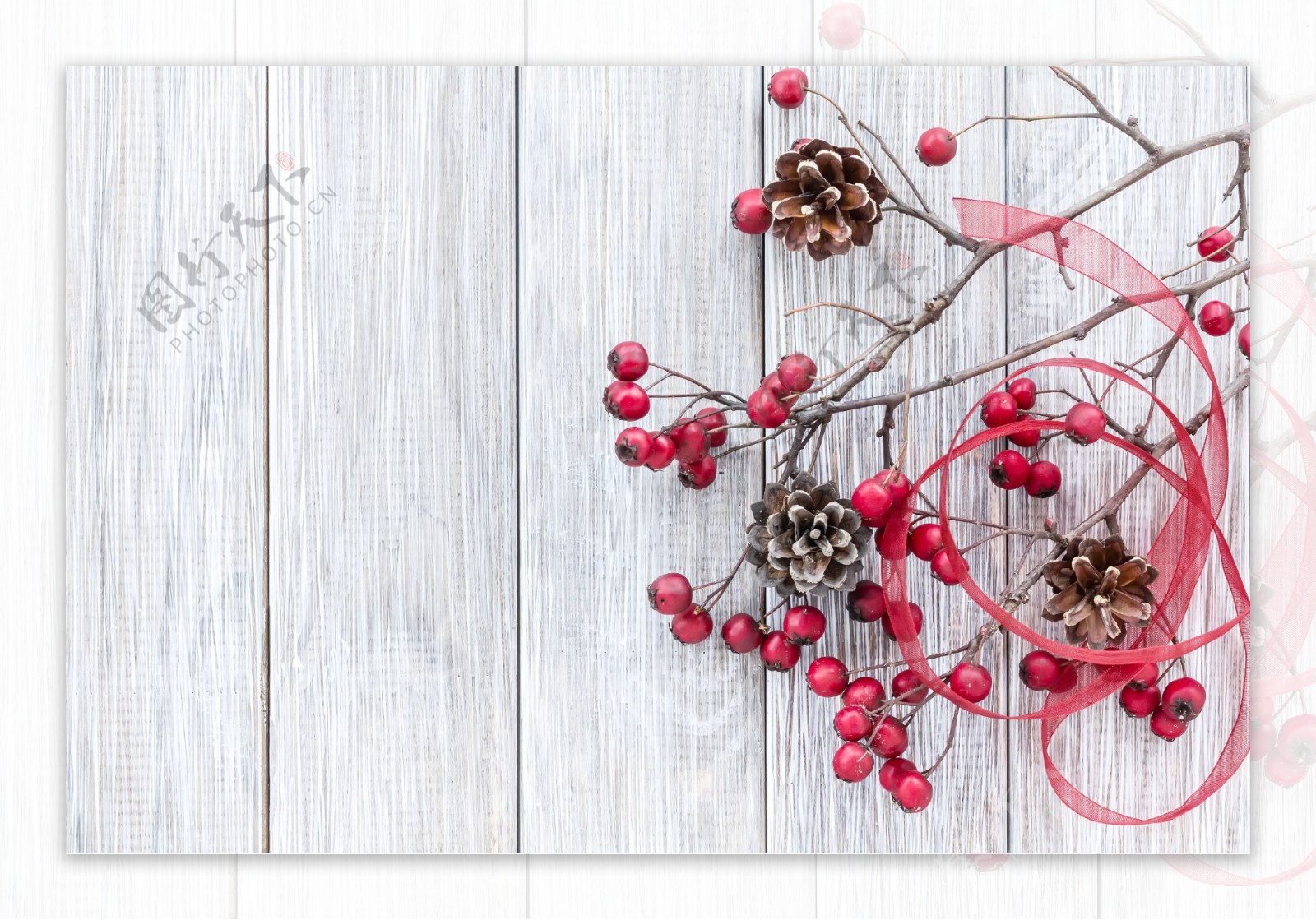 冬青与木板背景图片