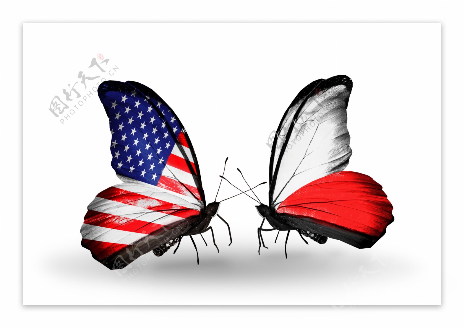 蝴蝶与国旗图片