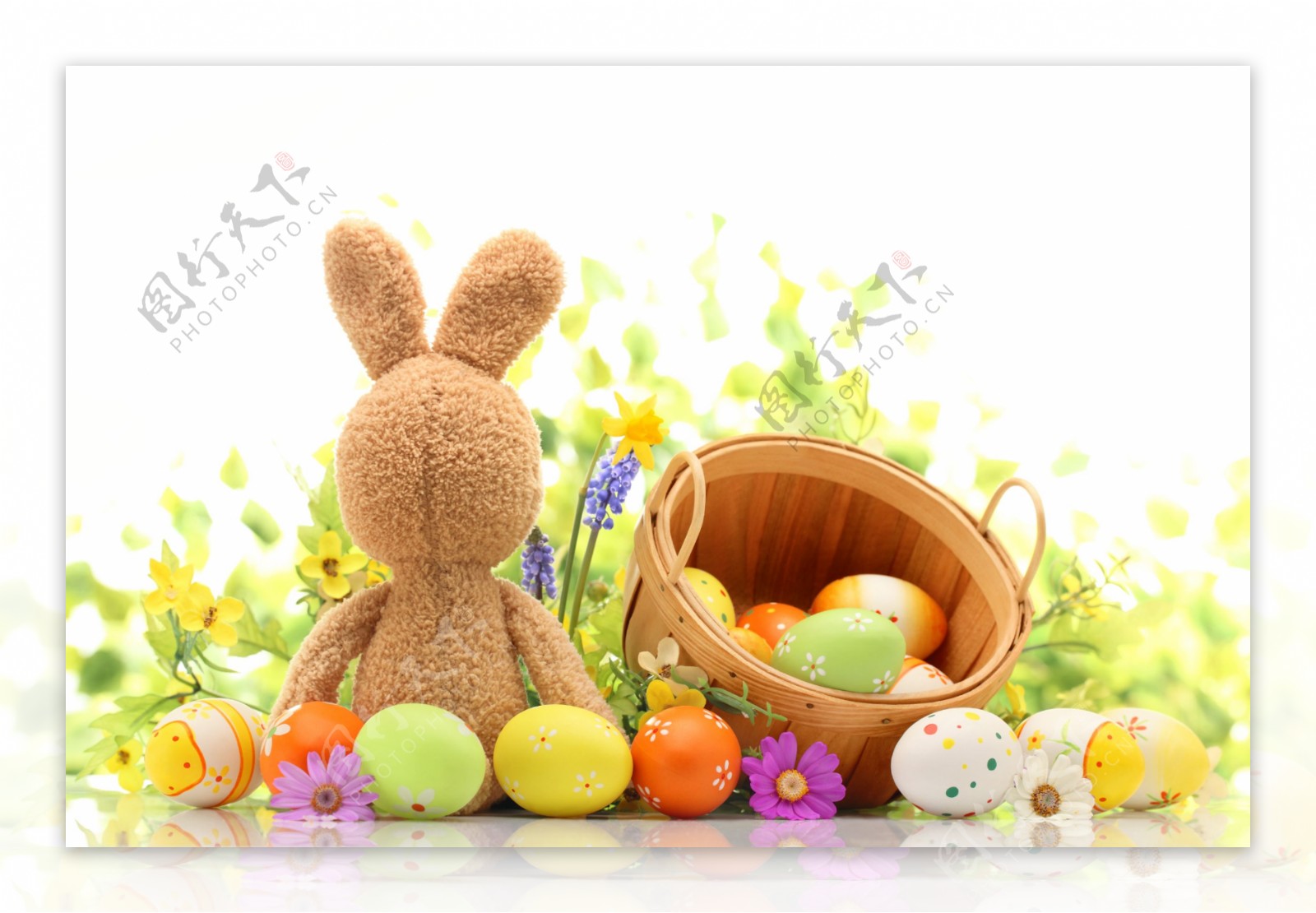 小兔子和彩蛋图片