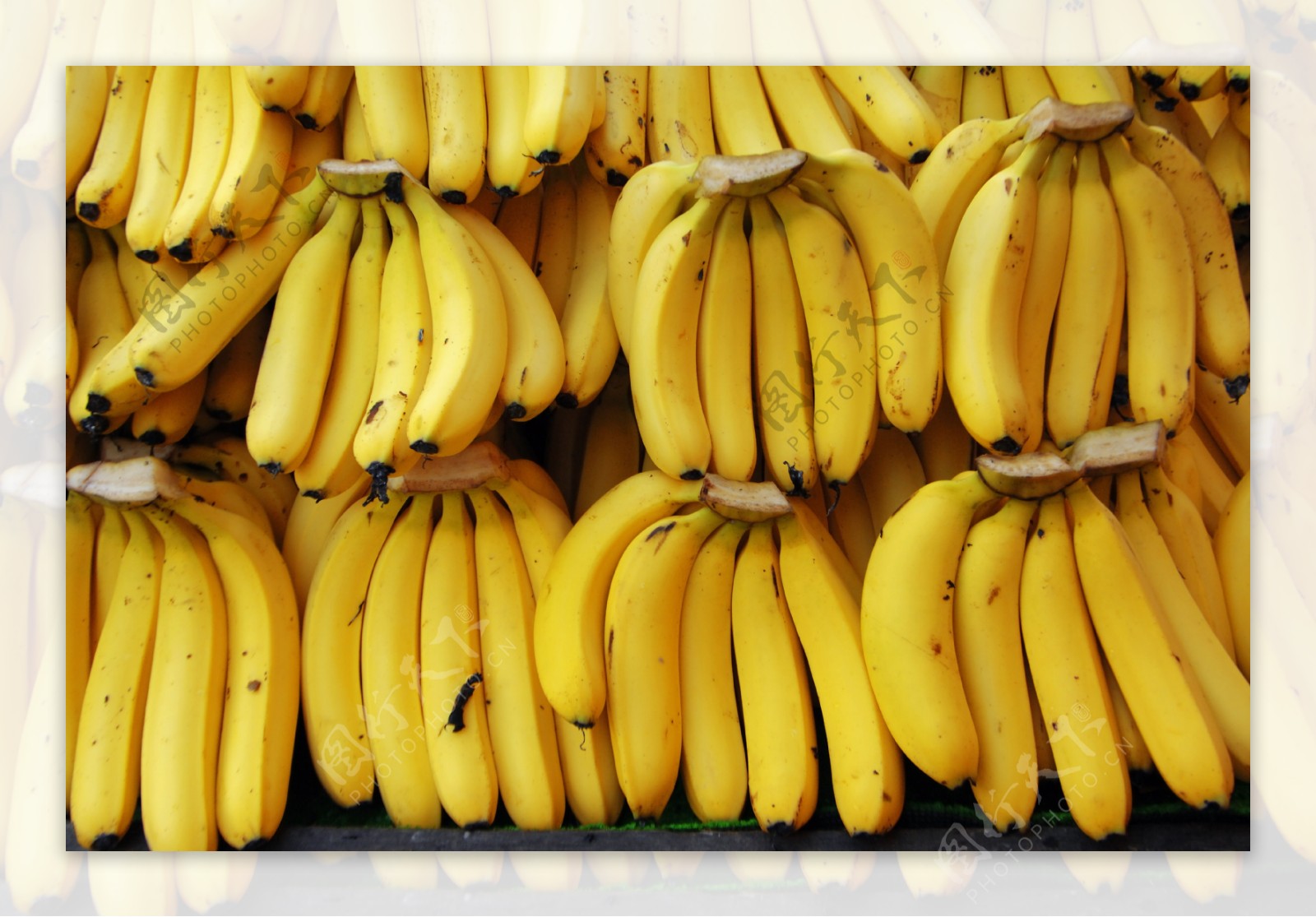 香蕉素材特写图片