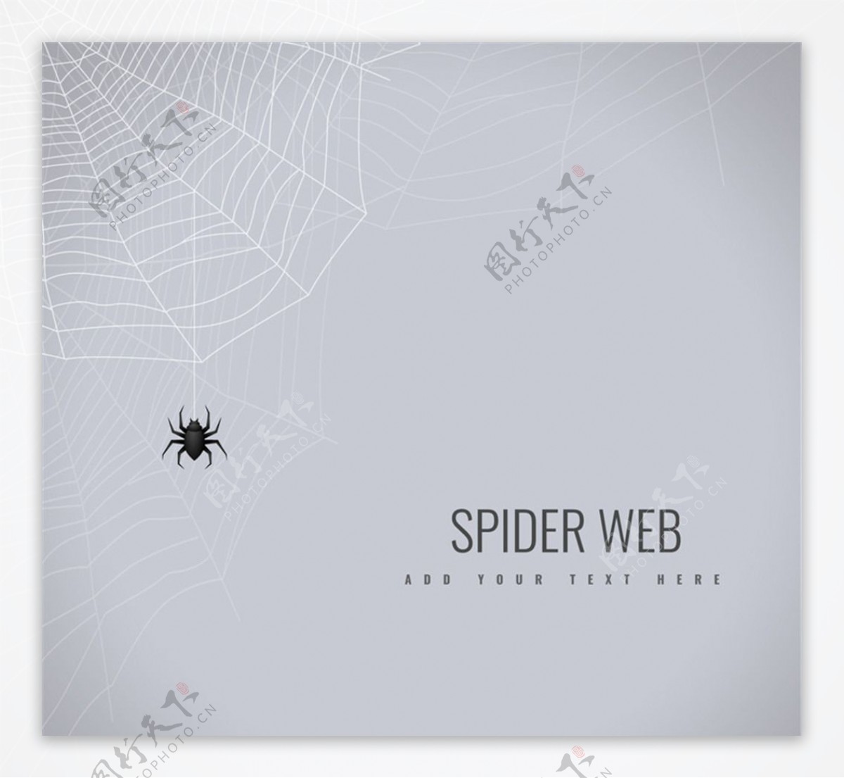 黑色织网的蜘蛛矢量素材