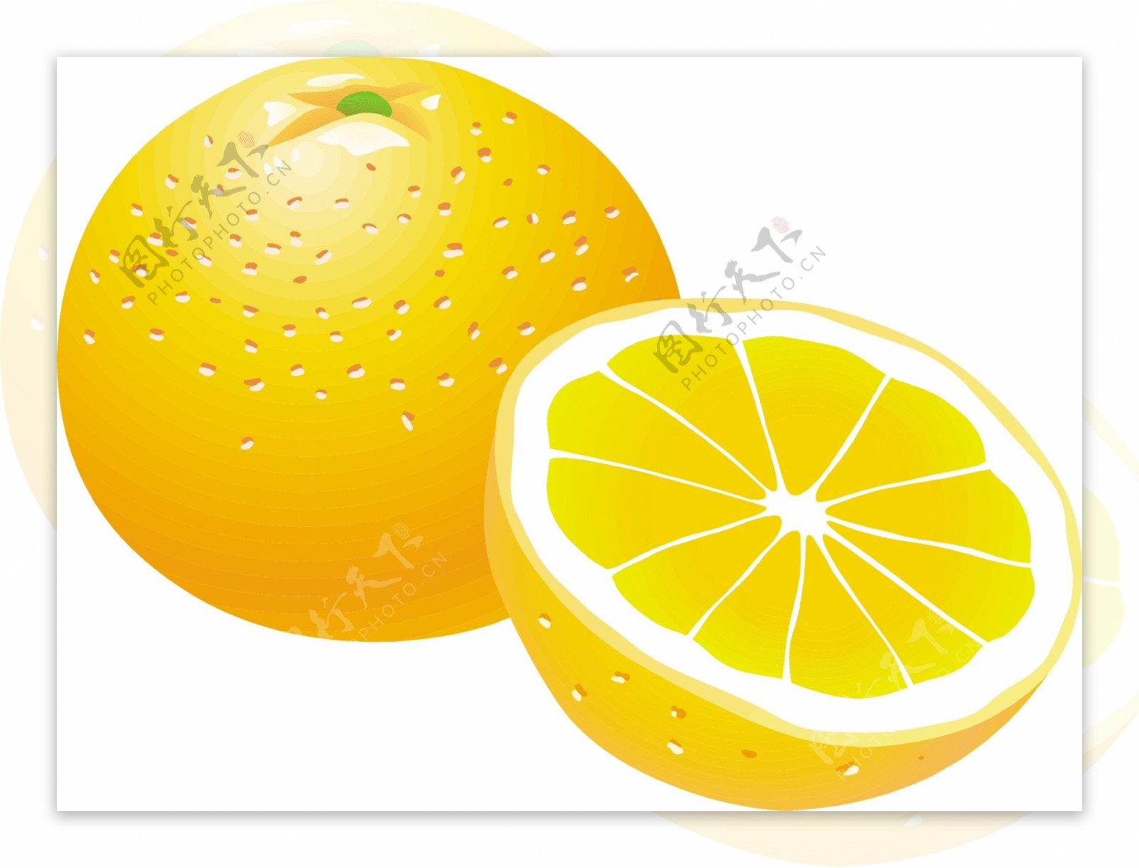 柑橘类水果10