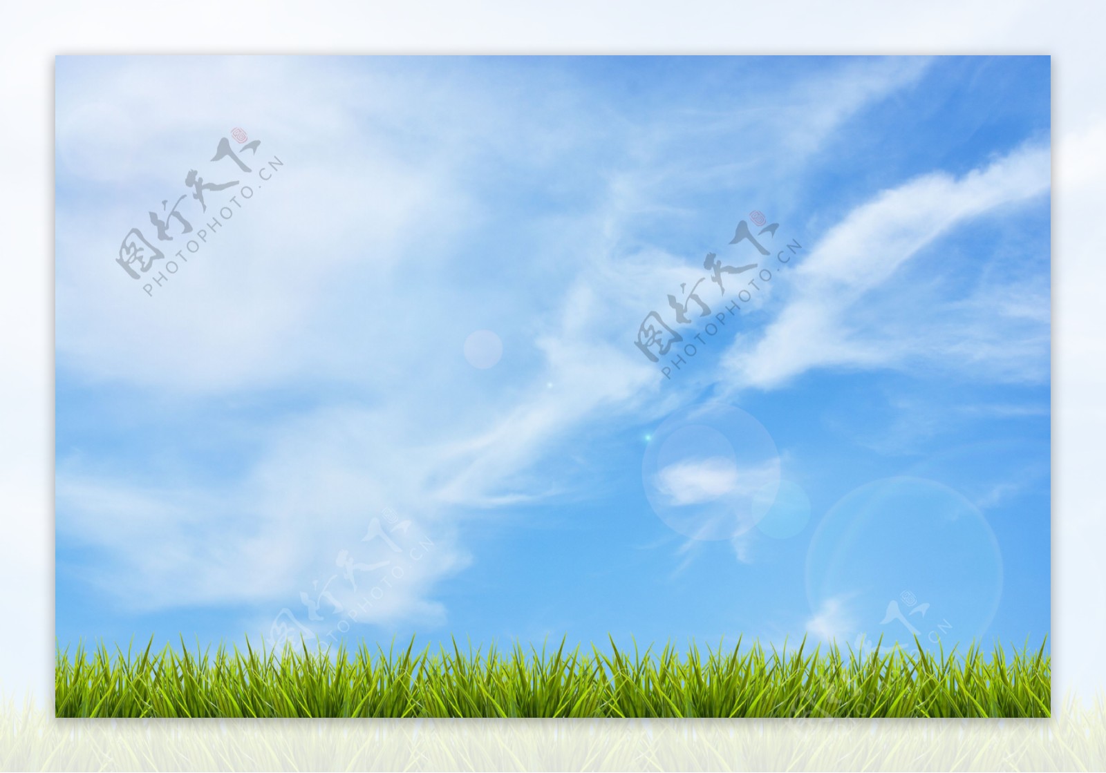 蓝天下的草地风景图片