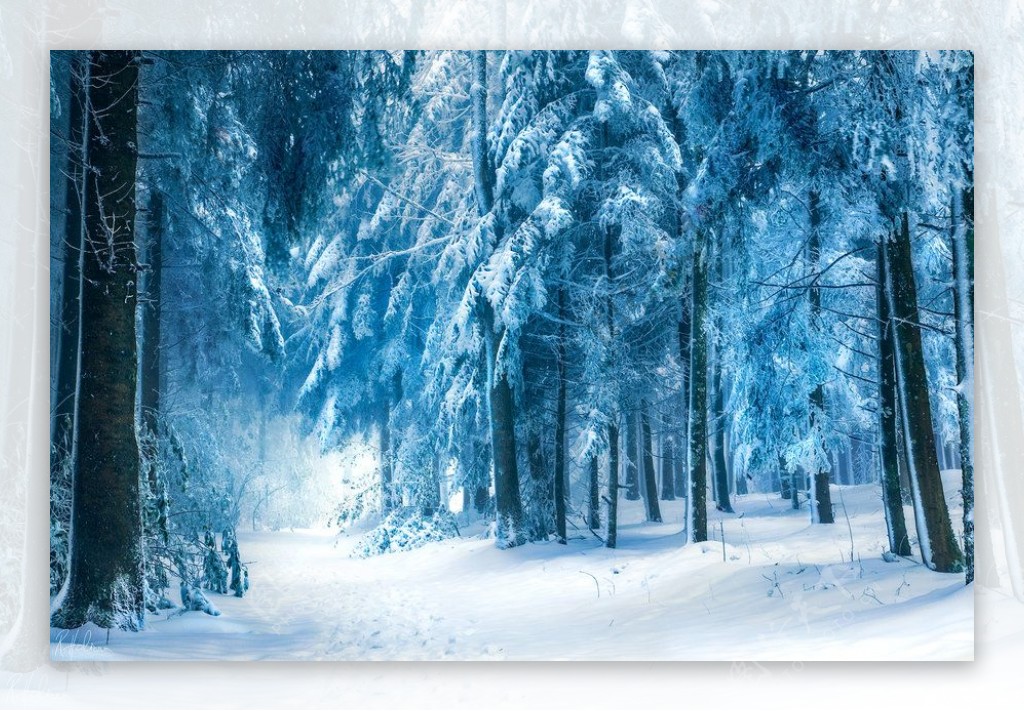 冬季梦幻雪景图片