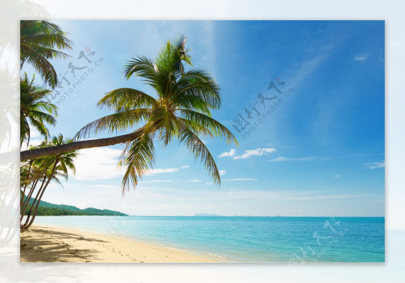 蓝天椰树大海风景