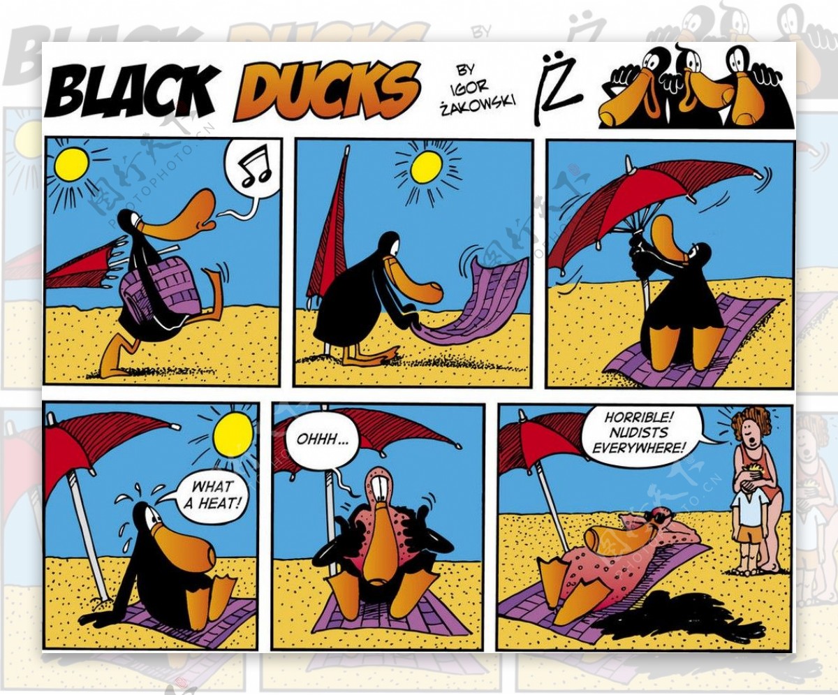 沙滩度假黑鸭子图片