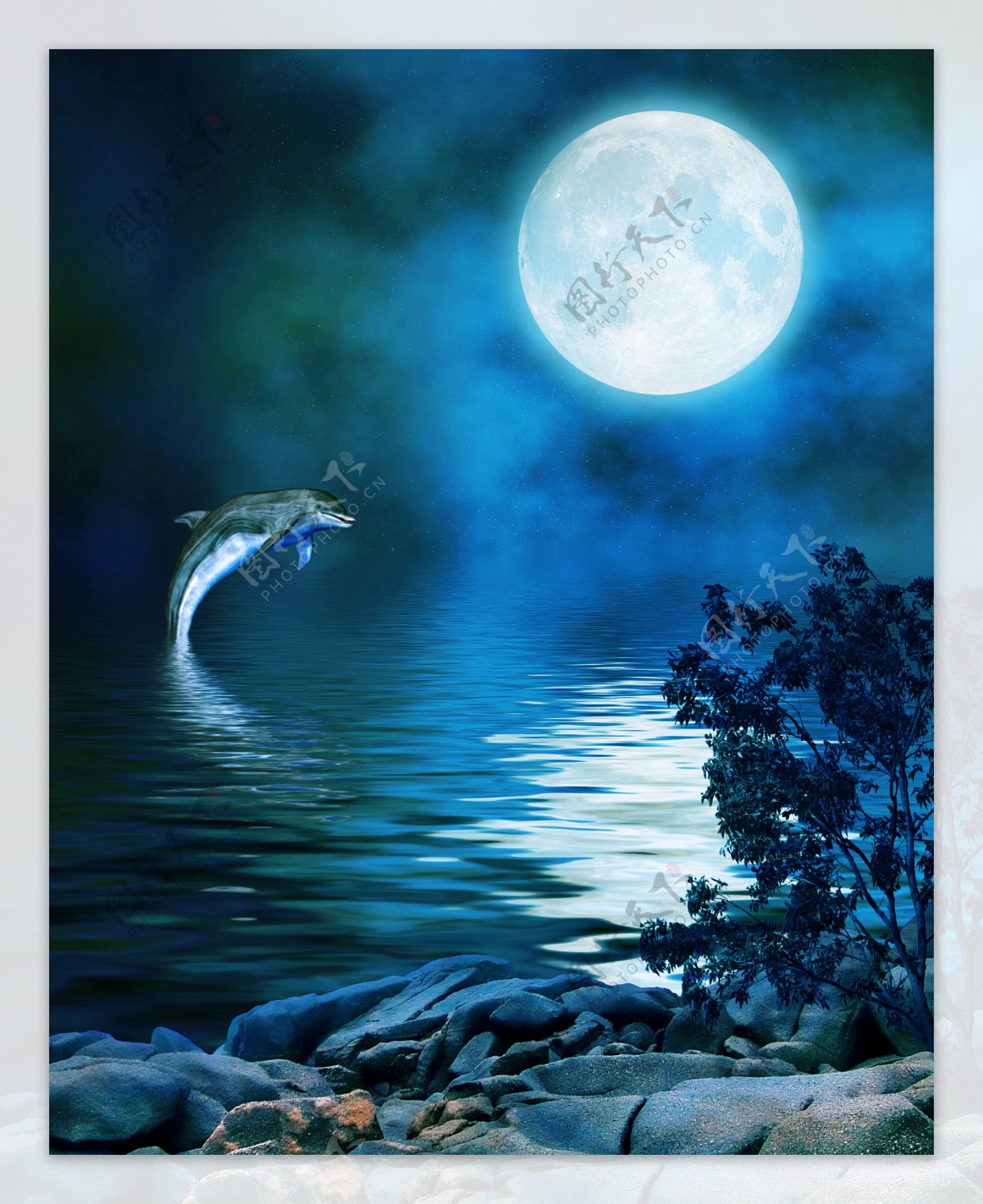 月亮下海中的海豚玄关装饰背景墙