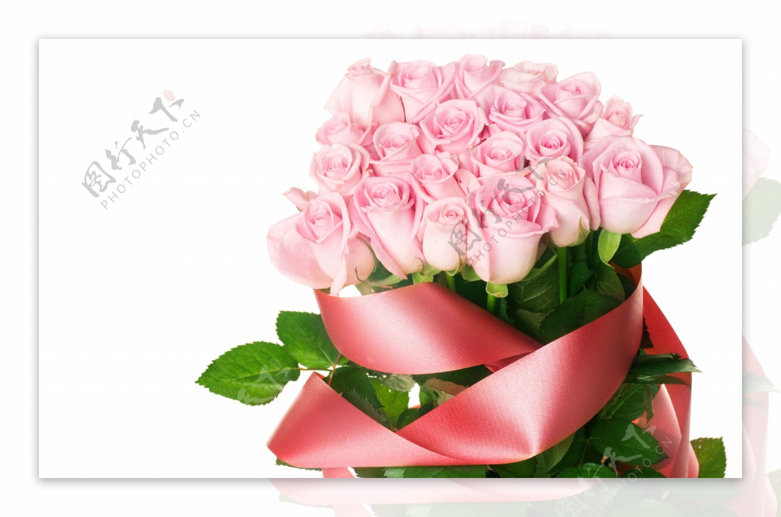 鲜艳粉色玫瑰花束图片